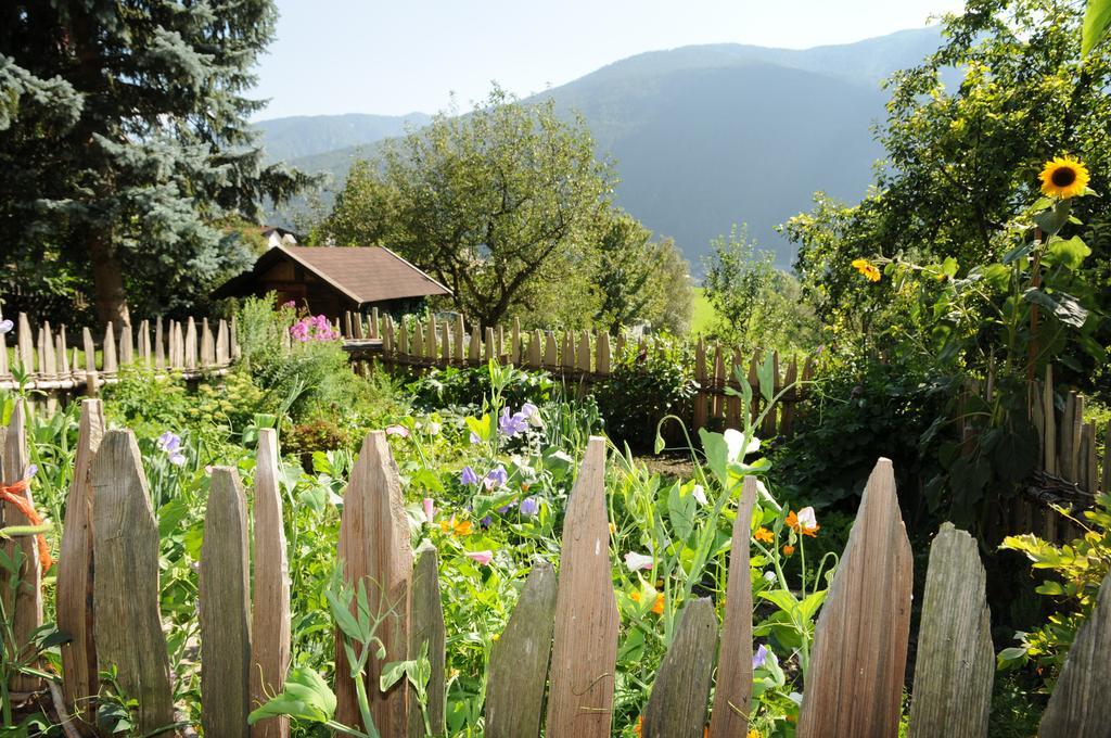Chalet & Appartement Zingerlehof Trens Кампо-ди-Тренс Экстерьер фото
