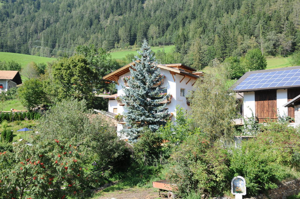 Chalet & Appartement Zingerlehof Trens Кампо-ди-Тренс Экстерьер фото